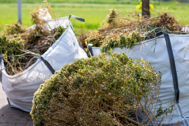 Best Scrap Metal Removal  in Avon, MN